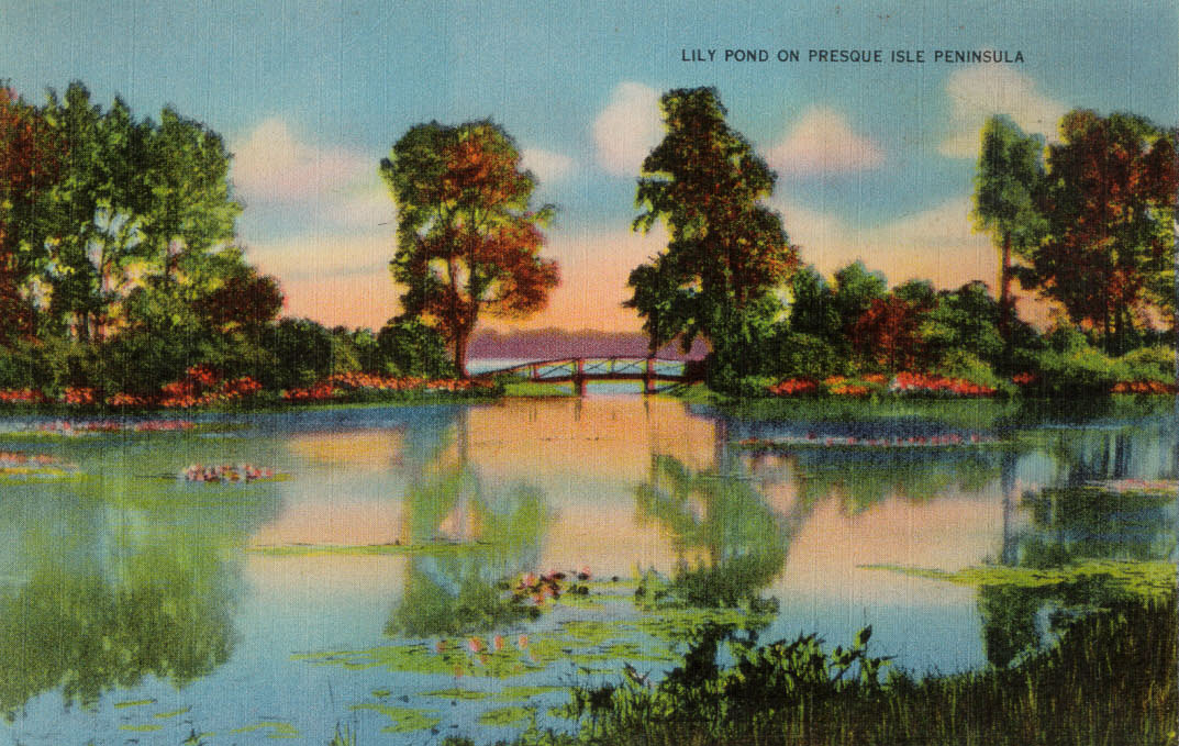Lily Pond on Presque Isle Penninsula
