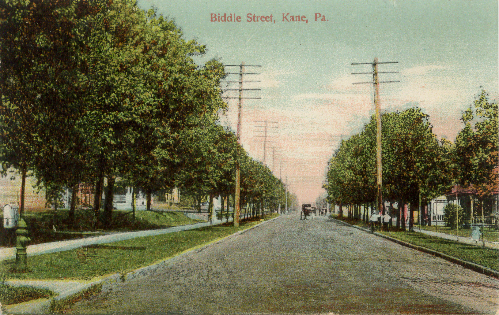 Biddle Street, Kane PA